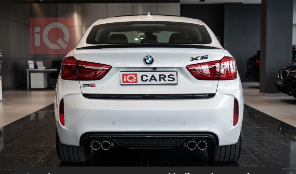 بي ام دبليو X6